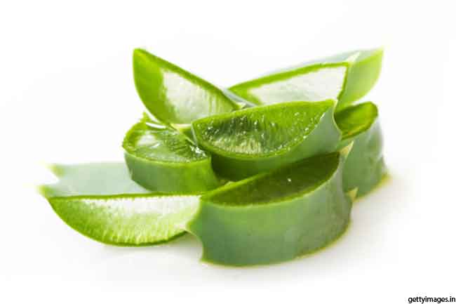 एलोवेरा
