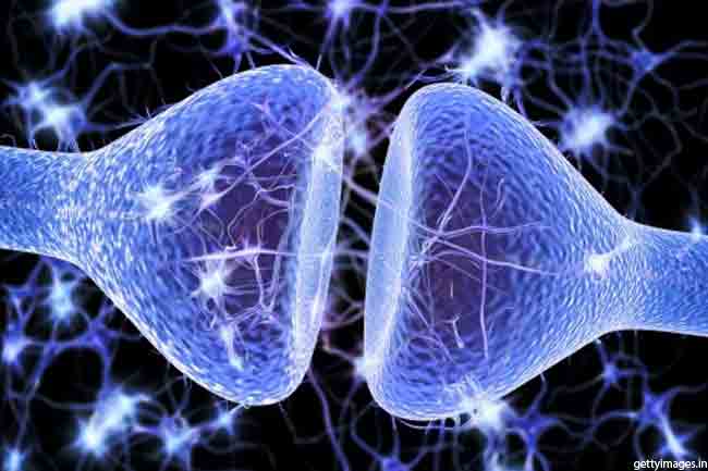 Nerve Disorders