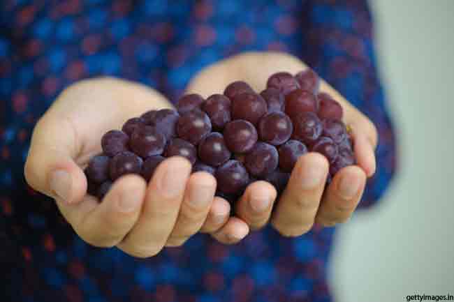 Fruits