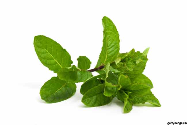 Pepper Mint
