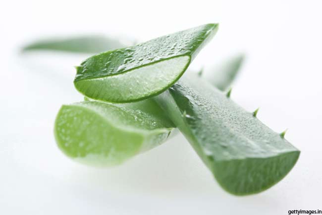 Aloe vera
