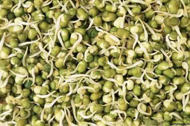 स्प्राउट्स