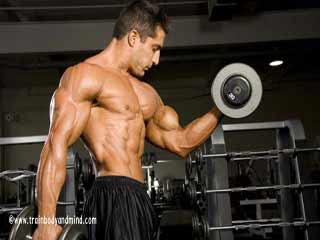 Bicep Workouts - Bicep Curl Exercises