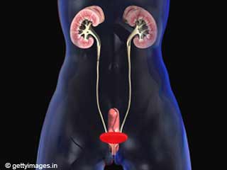 How to Detect Breast Cancer in Men | Male Breast Cancer ...