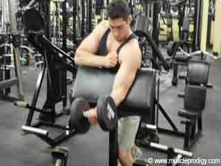 Biceps Exercise - Barbell Preacher Curl 