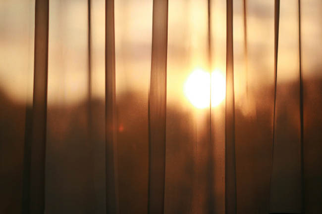 Lack of natural light and the effect of artificial light