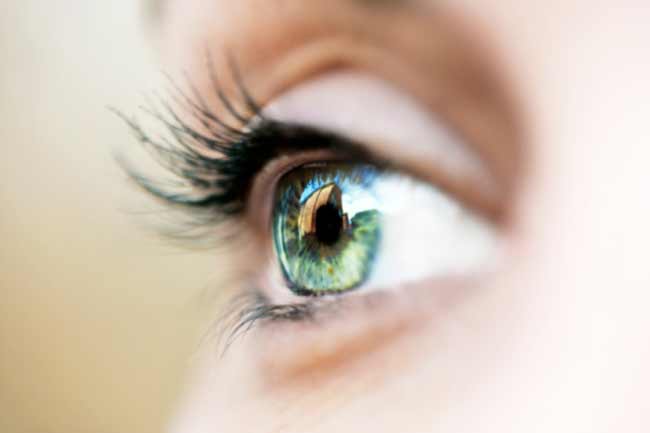 Lens