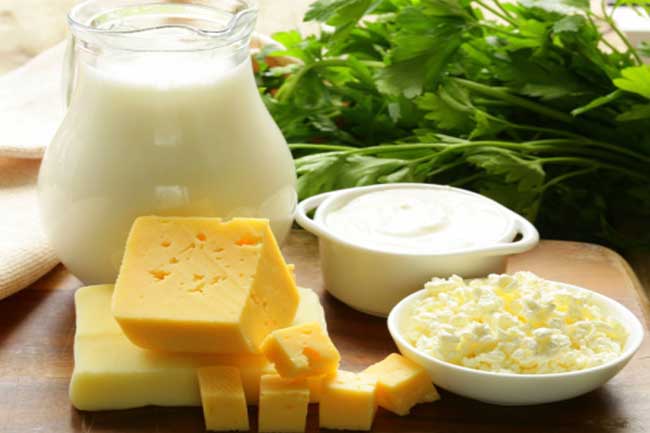 Full-fat Dairy Products