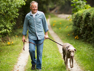 To Feel 10 Years Younger, Own a Dog