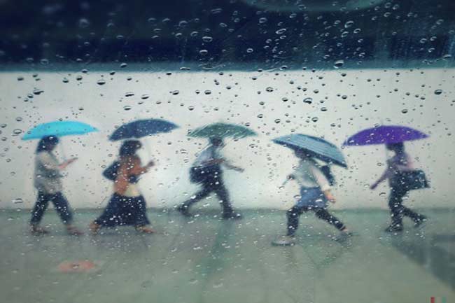बरसात और बीमारियां