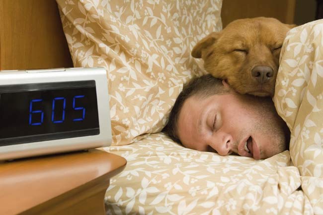 Sleep Talk