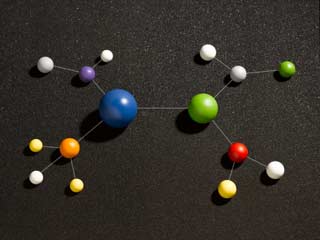 Researchers have discovered an Immunity-boosting Molecule to fight Bacterial Attack