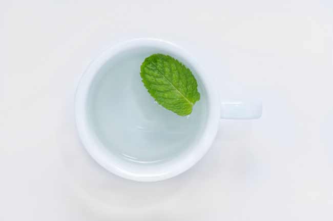 Mint