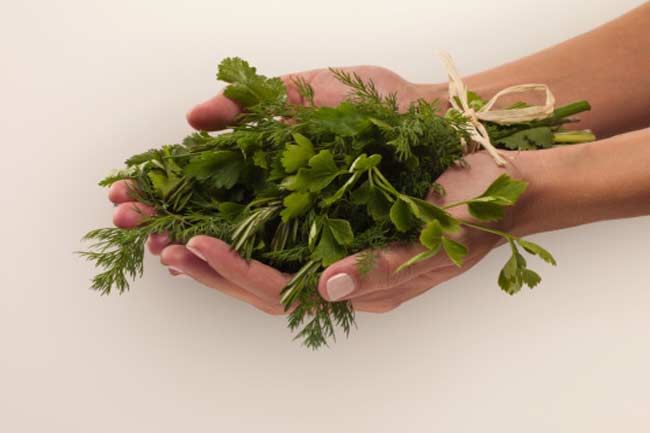 Parsley