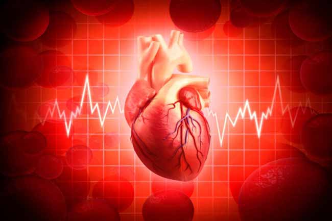 Cardiovascular Health