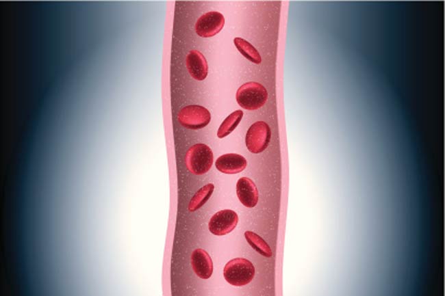 Cholesterol