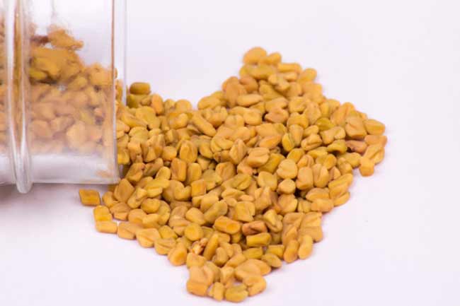 Fenugreek