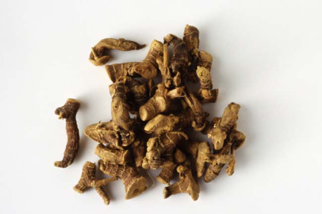 जिनसेंग (Ginseng)