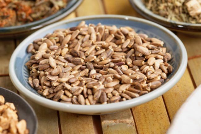 मिल्क थिसल सीड (Milk Thistle Seed)