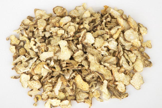 ओरेगन ग्रेप रूट (Oregon Grape Root)