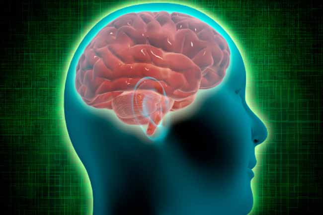 Boost Brain and Nerve Health