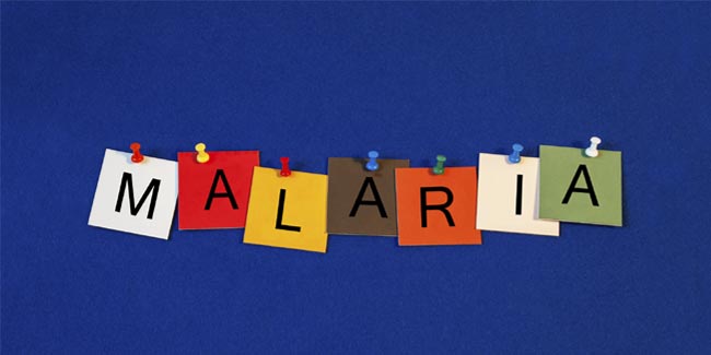 मलेरिया से संबंधित भ्रम और तथ्य