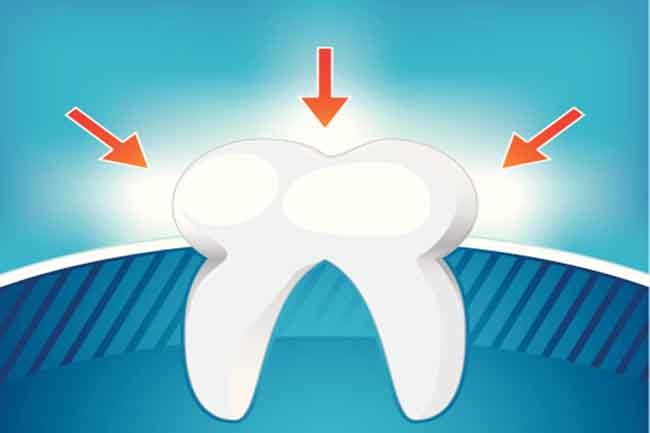 Bites to Activate Blood Flow
