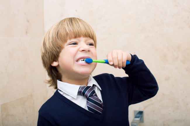 Brush Regularly