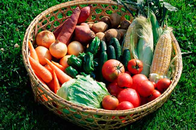 Find the nutritional balance