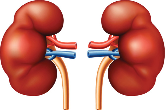 Kidney damage