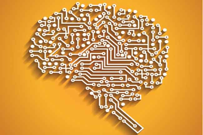 Heart:A mini-brain