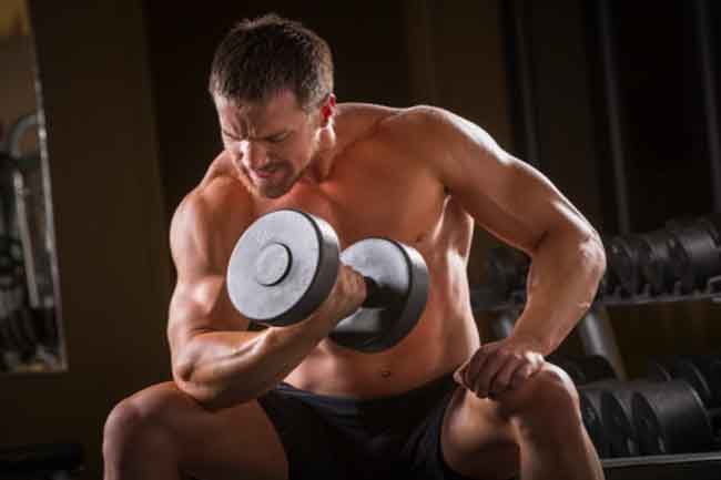 Basic Biceps Curl