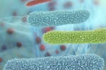 Researchers Develop Magnetic Bacteria to Diagnose Stomach Cancer