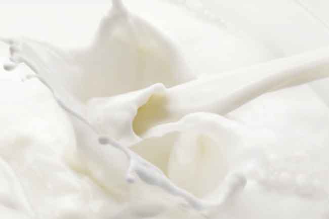 Milk and Milk Products