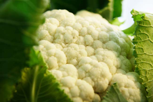 Cauliflower