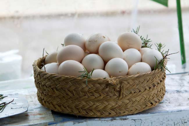 Omega-3 Eggs