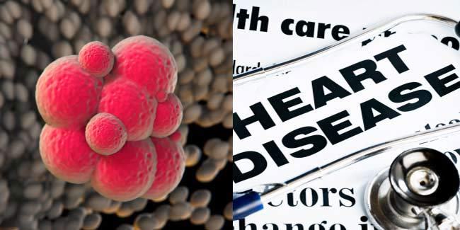 The Link between Cancer and Heart Diseases