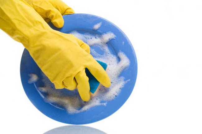 Dish Sponge