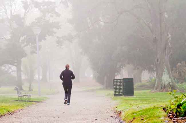 essay on in life there is no gain without pain essay on in life there is no gain without pain