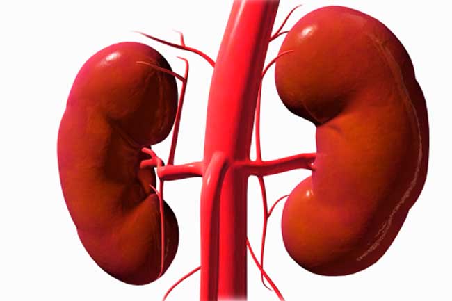 Kidney Diseases