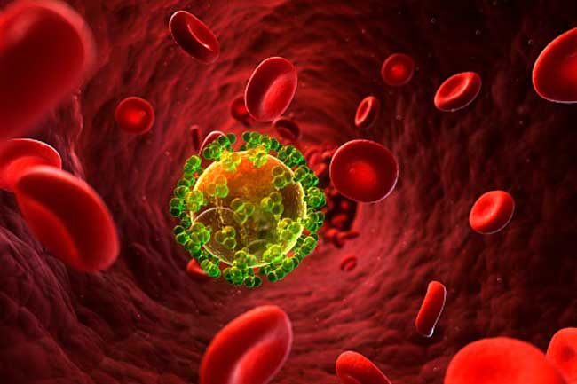 Human Immunodeficiency Virus (HIV)
