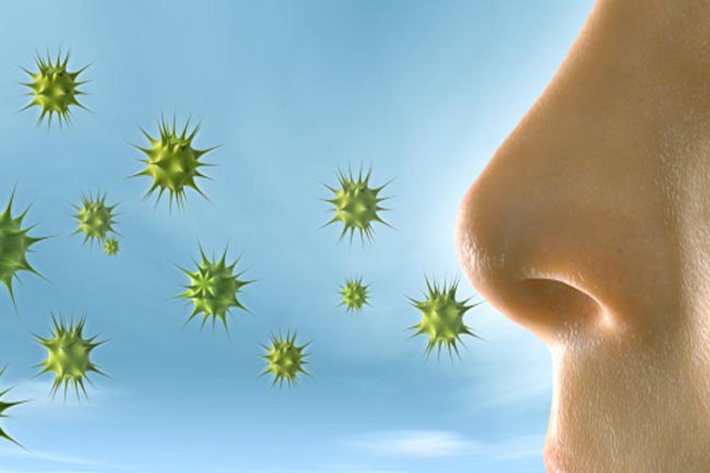 Allergies
