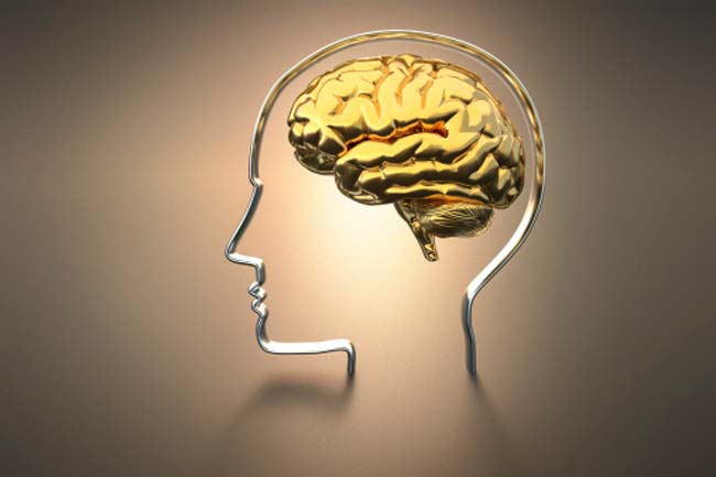 Affects Brain