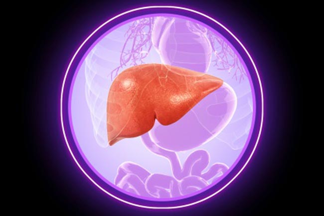 Overloads your Liver