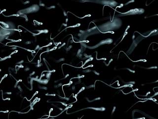 WHO says Sperm can Carry Ebola Virus for 82 Days