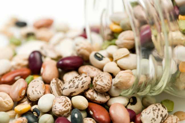 Why is Fibre Important?