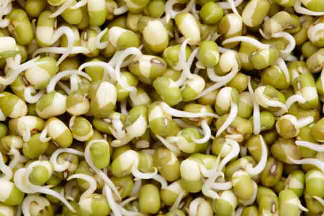 Brussels Sprouts