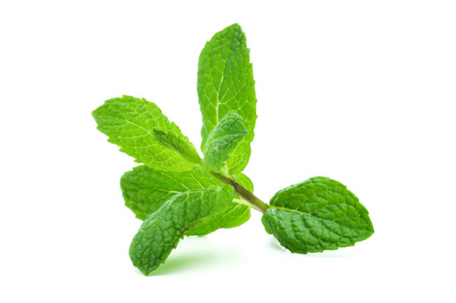 Peppermint