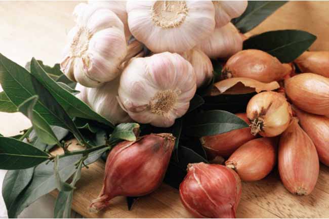 Minced Onion or Garlic