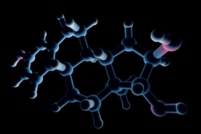 Estrogen is Key to Healthy Bone Density in Women